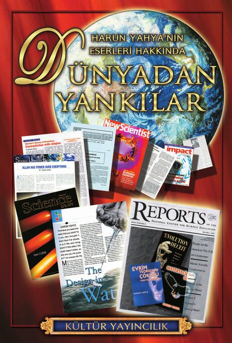 Dünyadan Yankılar - 1